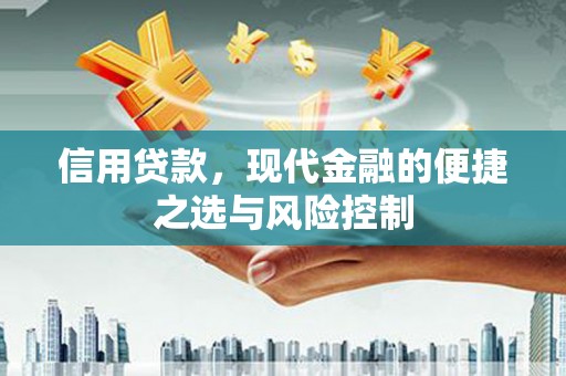 丰顺信用贷款，现代金融的便捷之选与风险控制