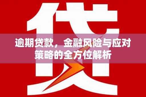 丰顺逾期贷款，金融风险与应对策略的全方位解析
