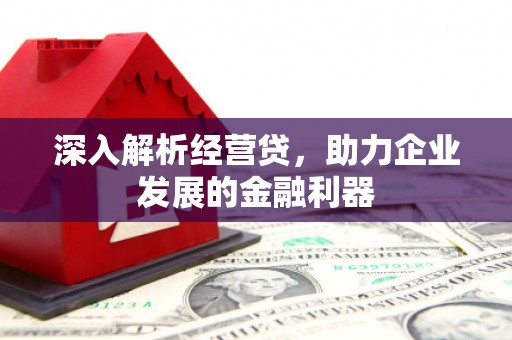 丰顺深入解析经营贷，助力企业发展的金融利器
