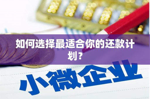 丰顺如何选择最适合你的还款计划？