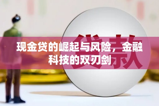 丰顺现金贷的崛起与风险，金融科技的双刃剑