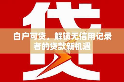丰顺白户可贷，解锁无信用记录者的贷款新机遇