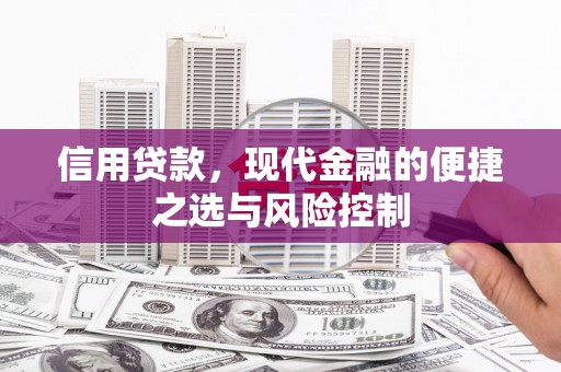 丰顺信用贷款，现代金融的便捷之选与风险控制