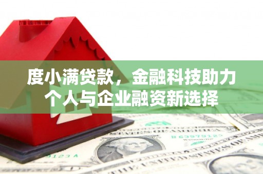 丰顺度小满贷款，金融科技助力个人与企业融资新选择
