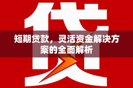 丰顺短期贷款，灵活资金解决方案的全面解析