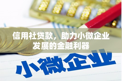 丰顺信用社贷款，助力小微企业发展的金融利器
