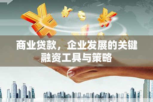 丰顺商业贷款，企业发展的关键融资工具与策略