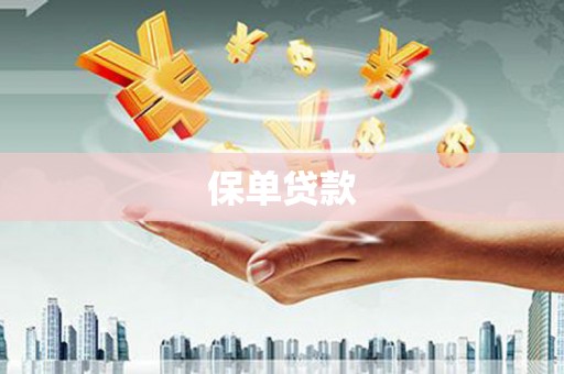 丰顺保单贷款