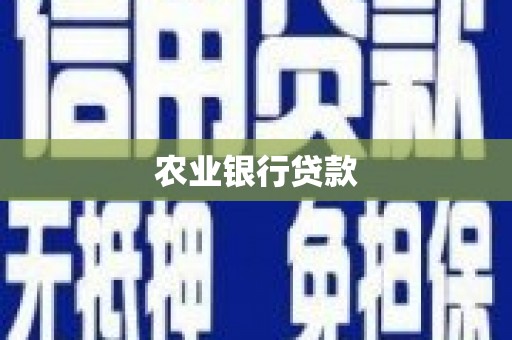 丰顺农业银行贷款