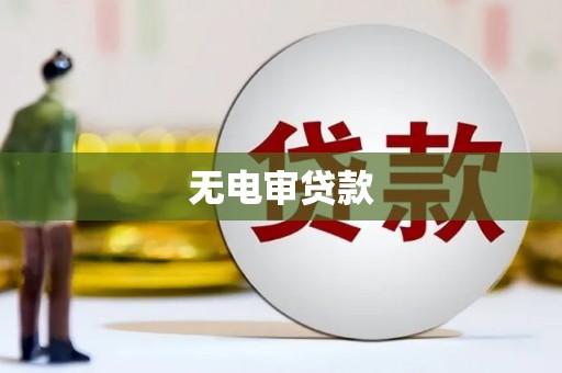 丰顺无电审贷款