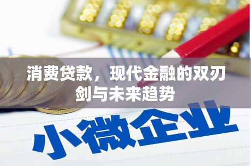 丰顺消费贷款，现代金融的双刃剑与未来趋势