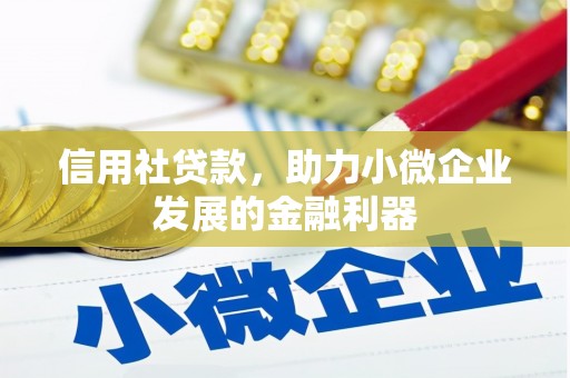 丰顺信用社贷款，助力小微企业发展的金融利器