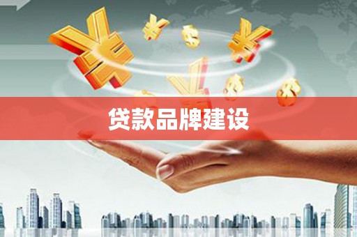丰顺贷款品牌建设