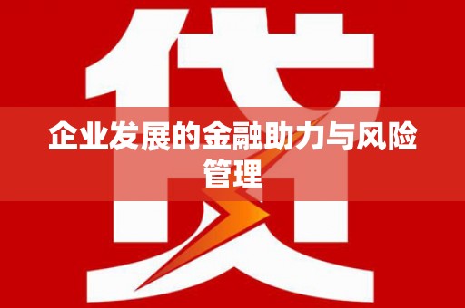 丰顺企业发展的金融助力与风险管理