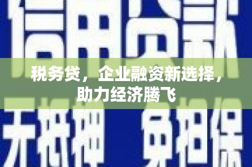 丰顺税务贷，企业融资新选择，助力经济腾飞