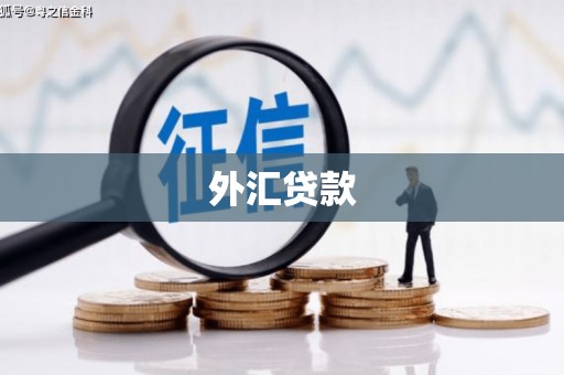 丰顺外汇贷款