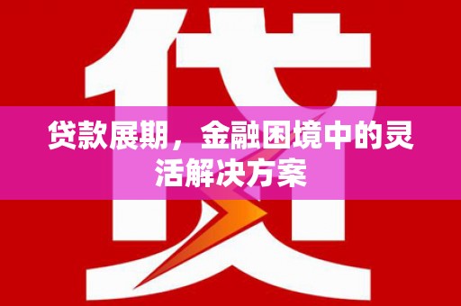 丰顺贷款展期，金融困境中的灵活解决方案