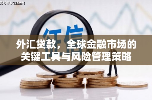 丰顺外汇贷款，全球金融市场的关键工具与风险管理策略