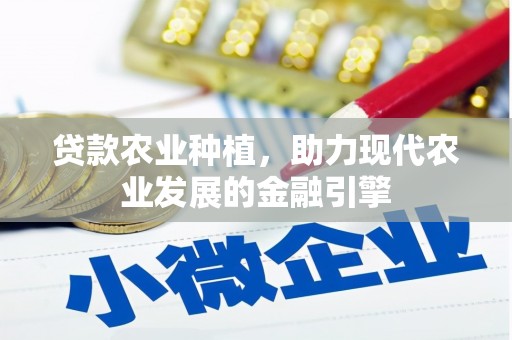 丰顺贷款农业种植，助力现代农业发展的金融引擎