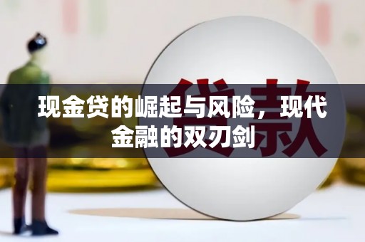 丰顺现金贷的崛起与风险，现代金融的双刃剑