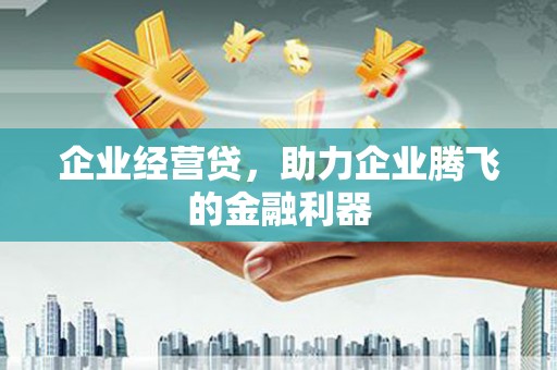 丰顺企业经营贷，助力企业腾飞的金融利器
