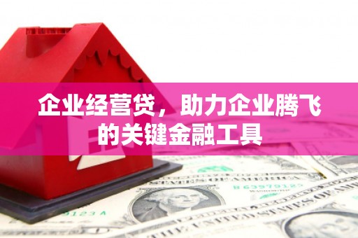 丰顺企业经营贷，助力企业腾飞的关键金融工具