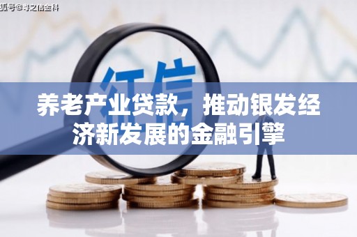 丰顺养老产业贷款，推动银发经济新发展的金融引擎