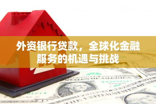 丰顺外资银行贷款，全球化金融服务的机遇与挑战
