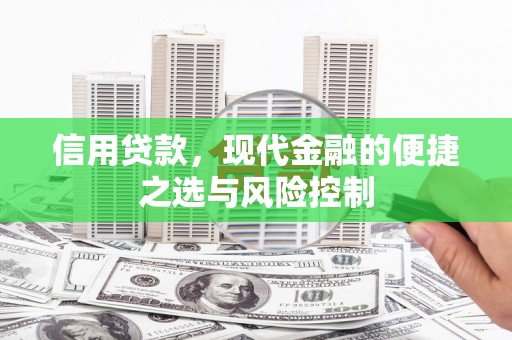丰顺信用贷款，现代金融的便捷之选与风险控制