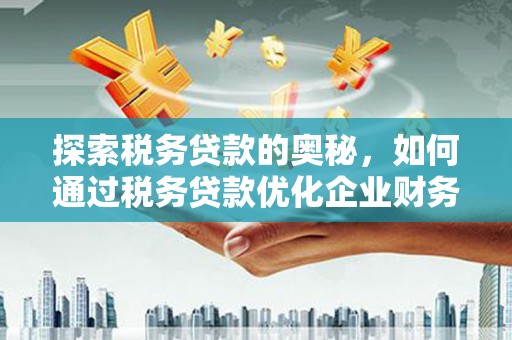 丰顺探索税务贷款的奥秘，如何通过税务贷款优化企业财务