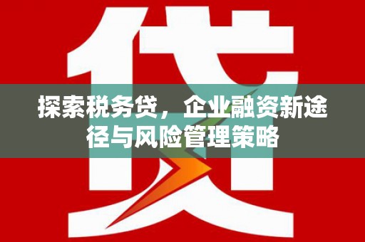 丰顺探索税务贷，企业融资新途径与风险管理策略