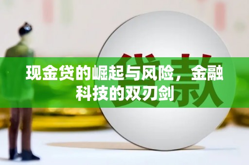 丰顺现金贷的崛起与风险，金融科技的双刃剑