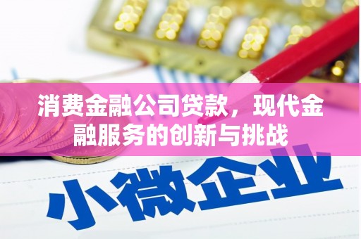 丰顺消费金融公司贷款，现代金融服务的创新与挑战
