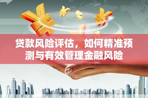 丰顺贷款风险评估，如何精准预测与有效管理金融风险