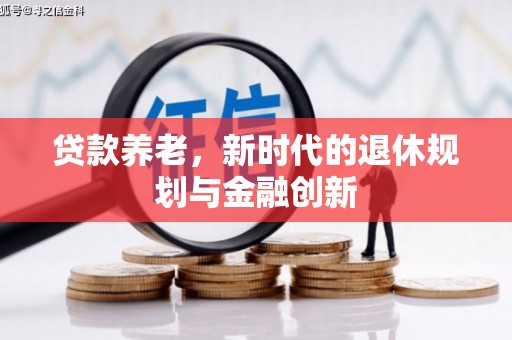 丰顺贷款养老，新时代的退休规划与金融创新