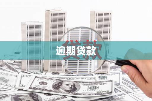 丰顺逾期贷款