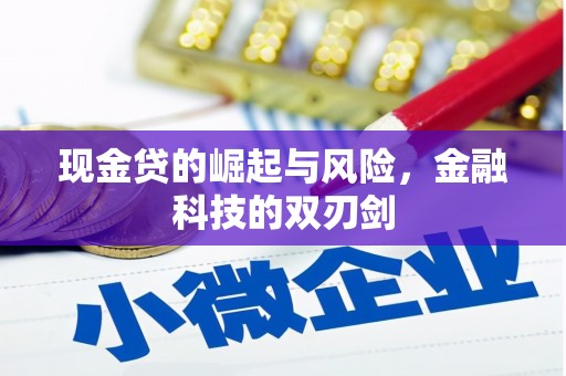 丰顺现金贷的崛起与风险，金融科技的双刃剑