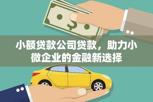 丰顺小额贷款公司贷款，助力小微企业的金融新选择