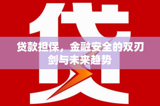 丰顺贷款担保，金融安全的双刃剑与未来趋势