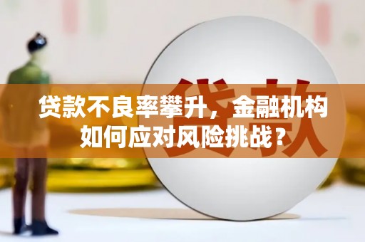 丰顺贷款不良率攀升，金融机构如何应对风险挑战？