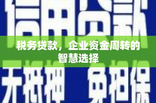 丰顺税务贷款，企业资金周转的智慧选择