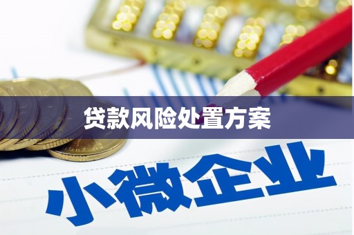 丰顺贷款风险处置方案