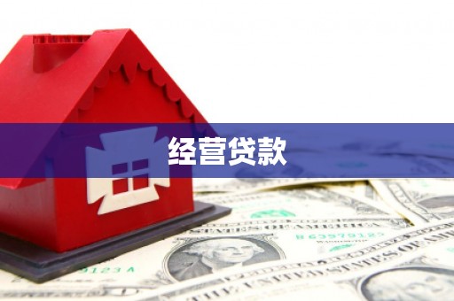丰顺经营贷款