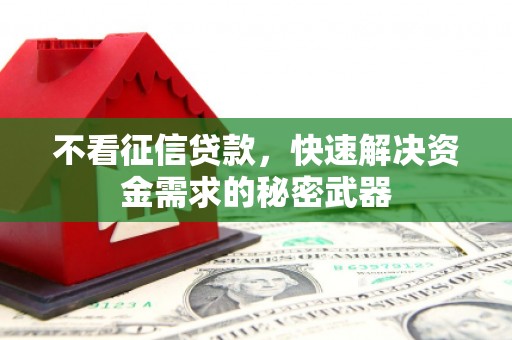丰顺不看征信贷款，快速解决资金需求的秘密武器