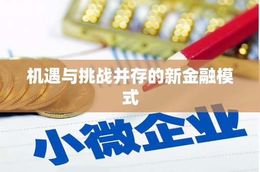 丰顺机遇与挑战并存的新金融模式