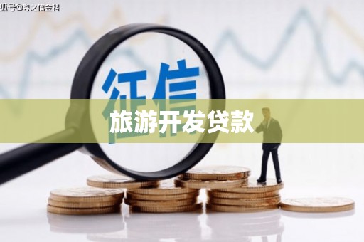 丰顺旅游开发贷款