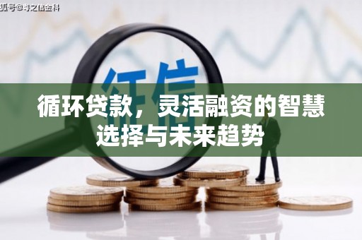 丰顺循环贷款，灵活融资的智慧选择与未来趋势
