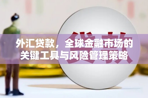 丰顺外汇贷款，全球金融市场的关键工具与风险管理策略