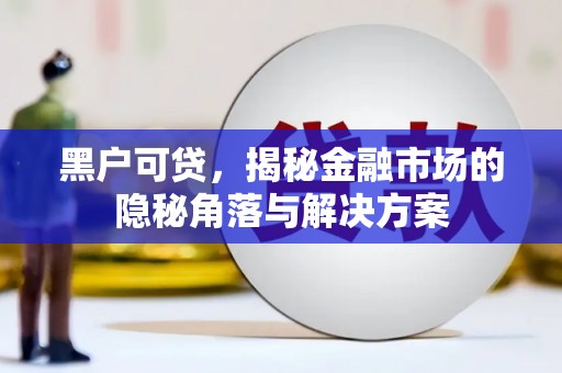 丰顺黑户可贷，揭秘金融市场的隐秘角落与解决方案