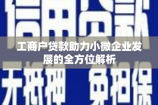丰顺工商户贷款助力小微企业发展的全方位解析